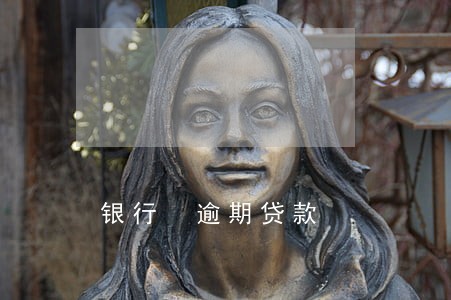 银行 逾期贷款 银行 逾期贷款